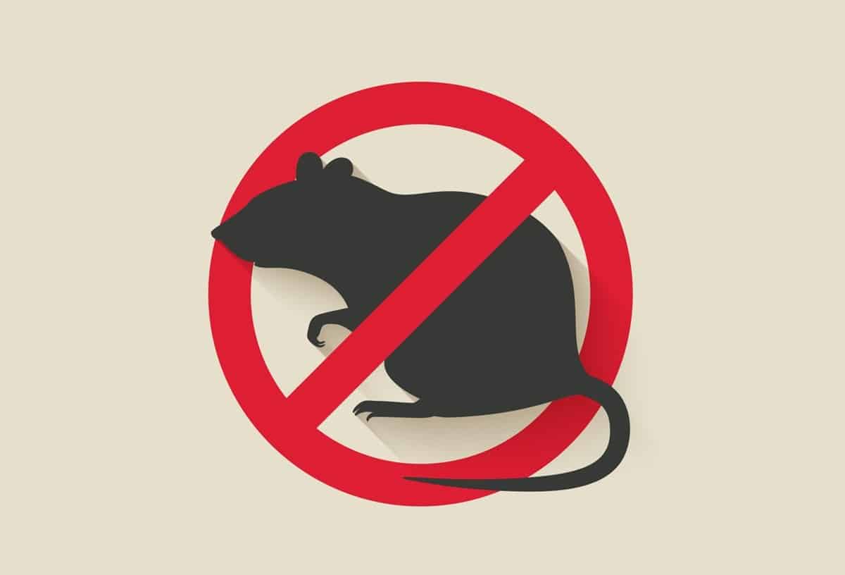Is Professional Pest Control Worth the Cost in Topeka, KS?